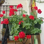 Casa Babylon Backpakers Hostel