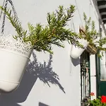 Seaside Holiday Studio By La Recepcion