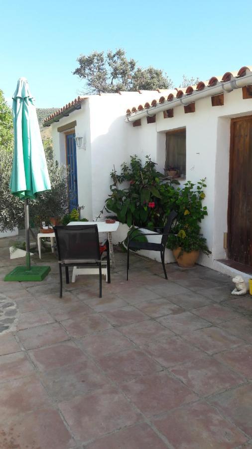Casa Patricia Apartment Málaga