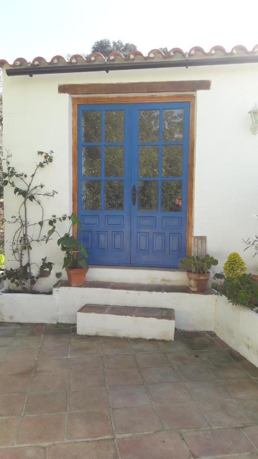 Apartment Casa Patricia