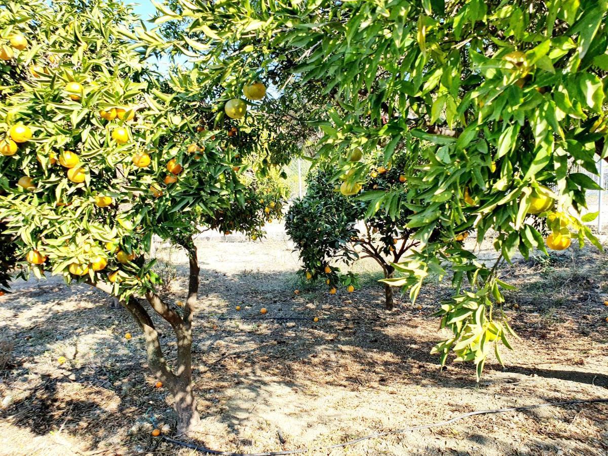 Casa Rural - Serrano House Feriehus Málaga