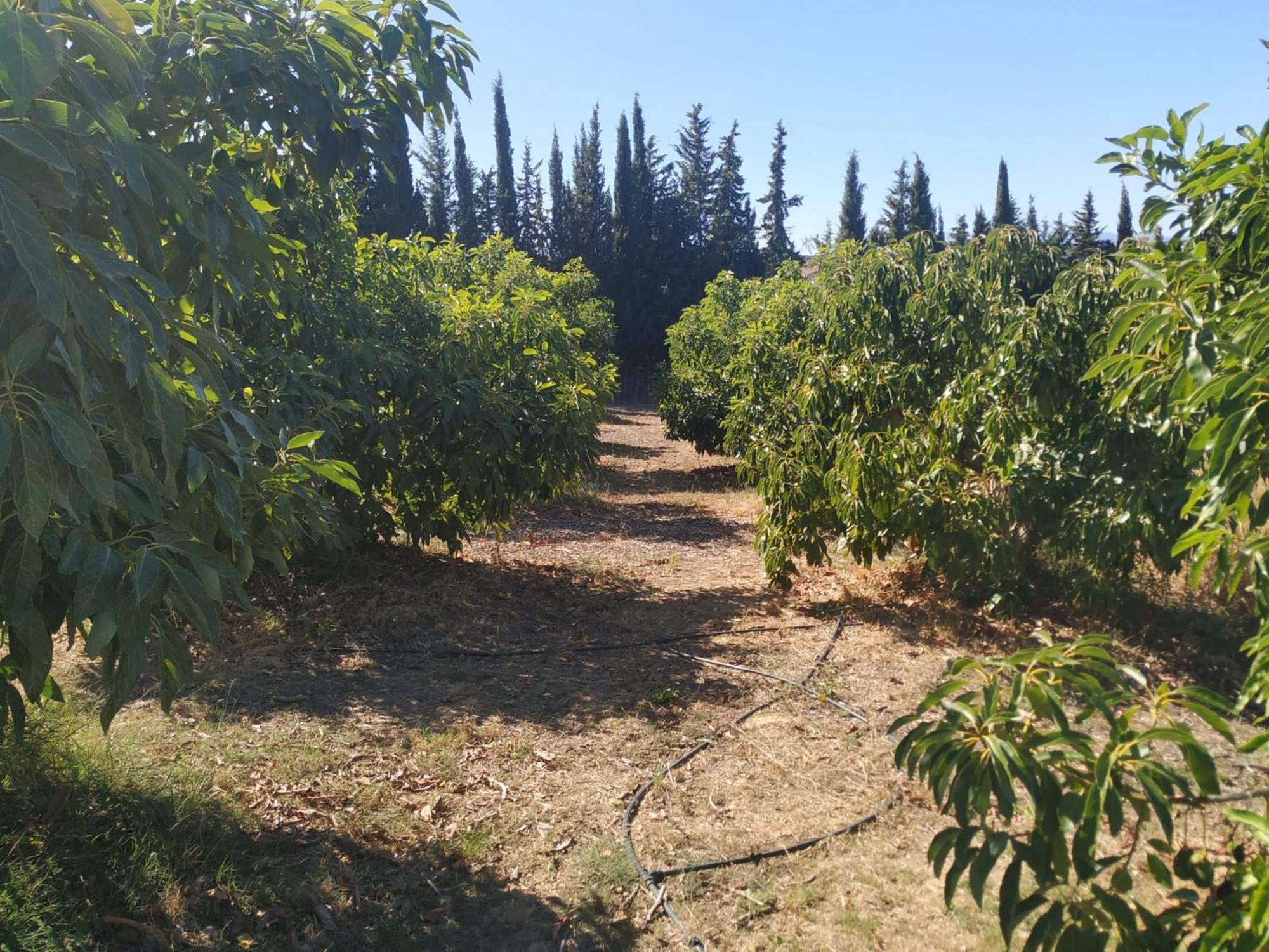 Vista El Montanes * Málaga