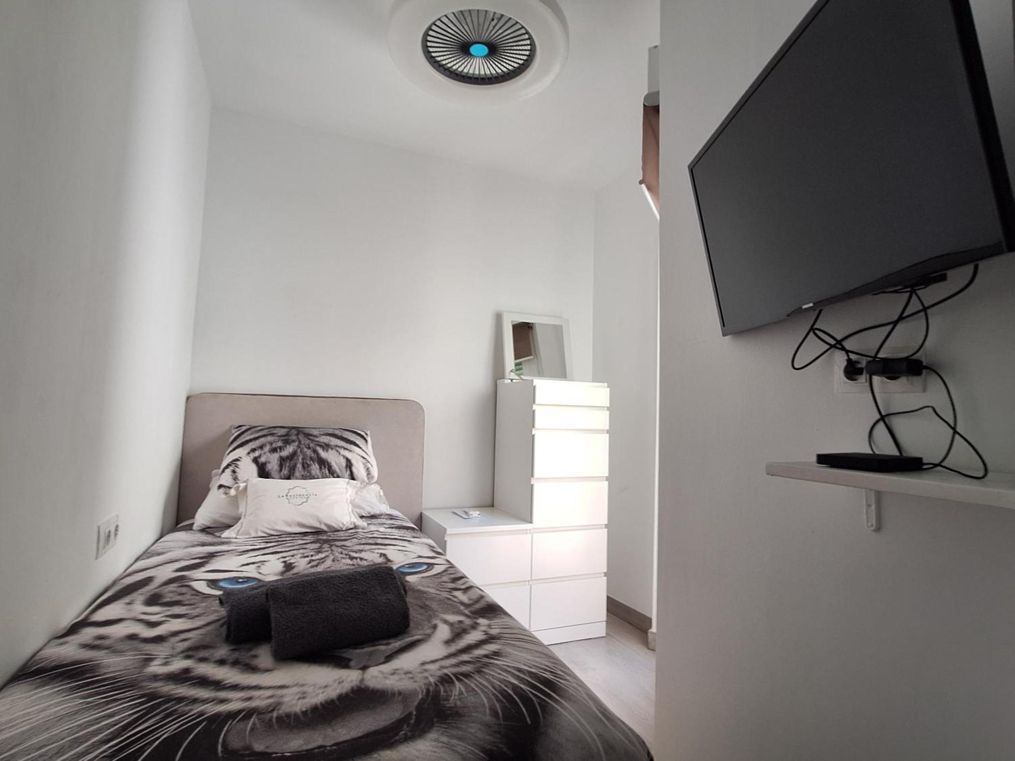 Apartment The 2 Bed-roof Terrace-apartment Malaga