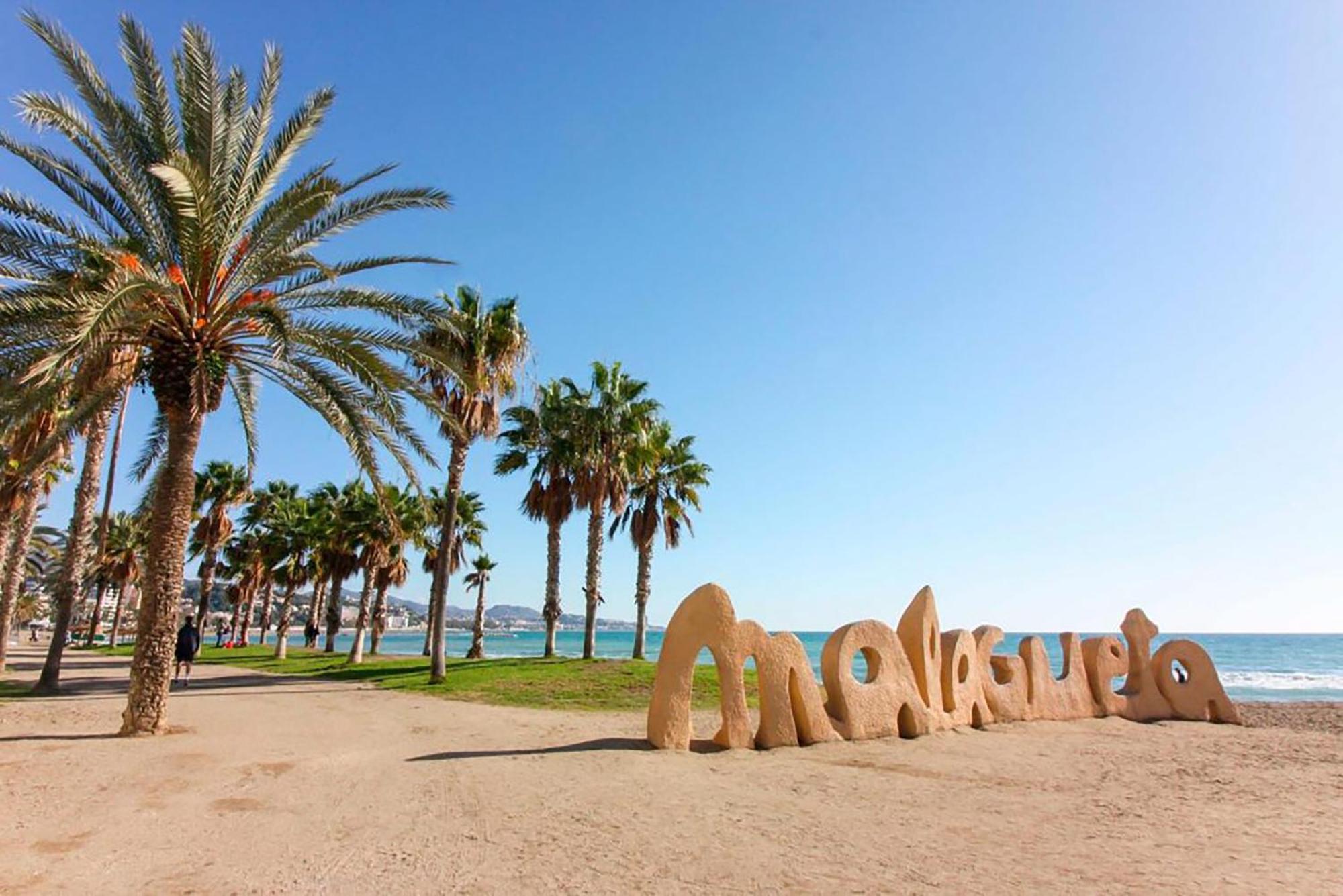 Center Flat Exclusive Malagueta Appartement