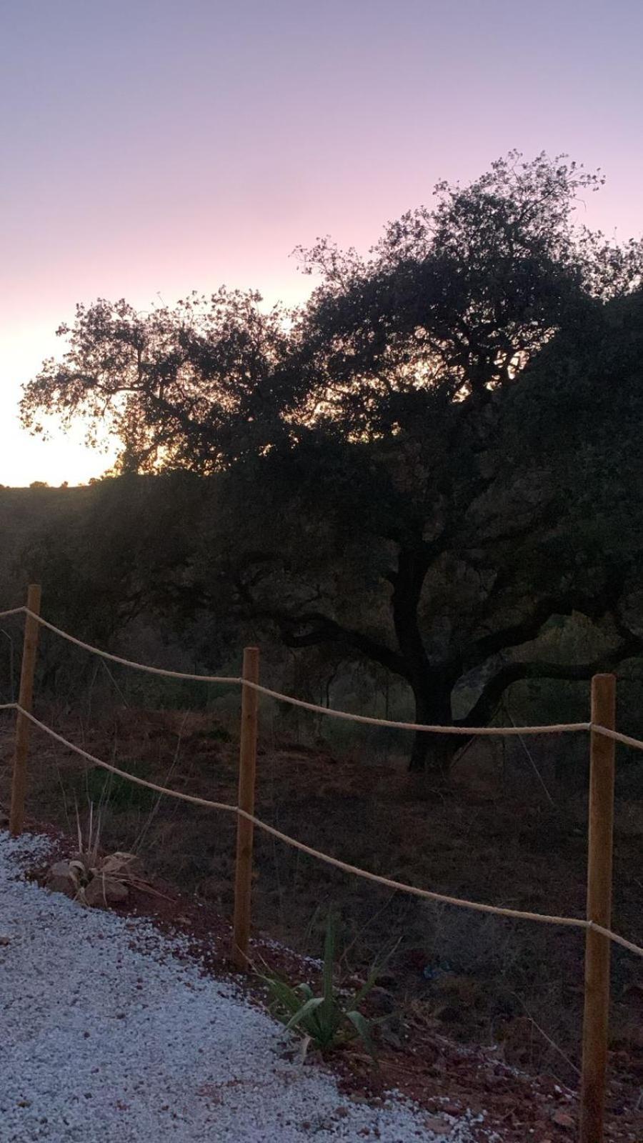Glamping Burbuja Almendros Lyxtält