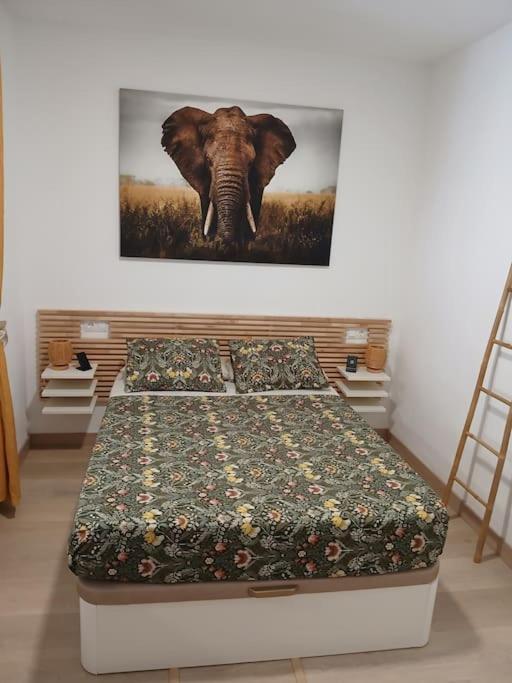 Appartement Elephant House A 10 Minutos Del Centro