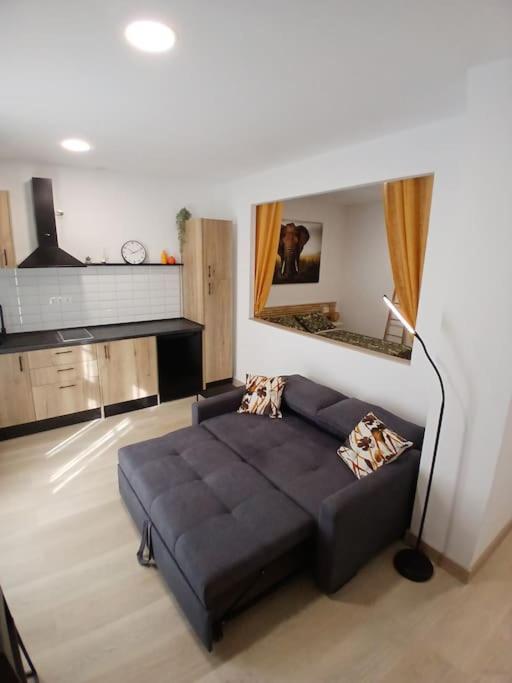 Elephant House A 10 Minutos Del Centro Appartement *
