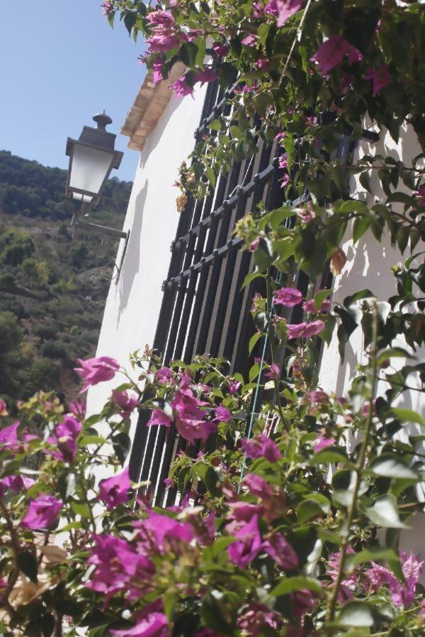 Lagar De Trevenez Montes De Alpehytte *