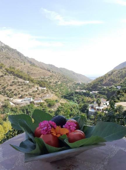 Cortijo Buenavista Vakantiehuis *