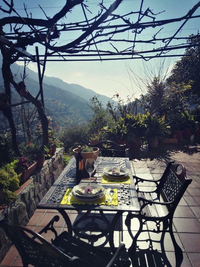 Vakantiehuis Cortijo Buenavista