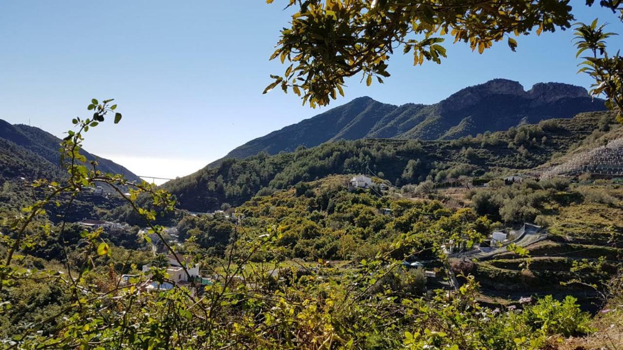 Cortijo Buenavista Vakantiehuis Málaga