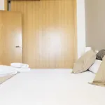 Suncity Flat Cánovas