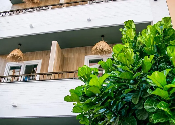 Casa Lyrata Comfort & Design