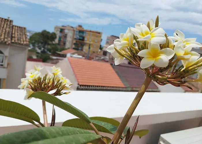 Apartamento Plumaria