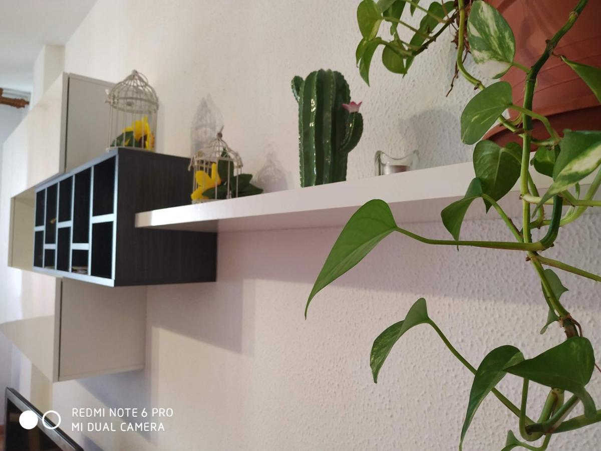 Apartamento Piso Plaza De Flores *