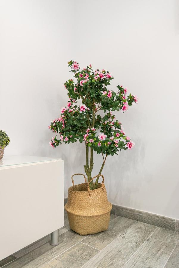 Apartamento Faro, Bonito En La Malagueta