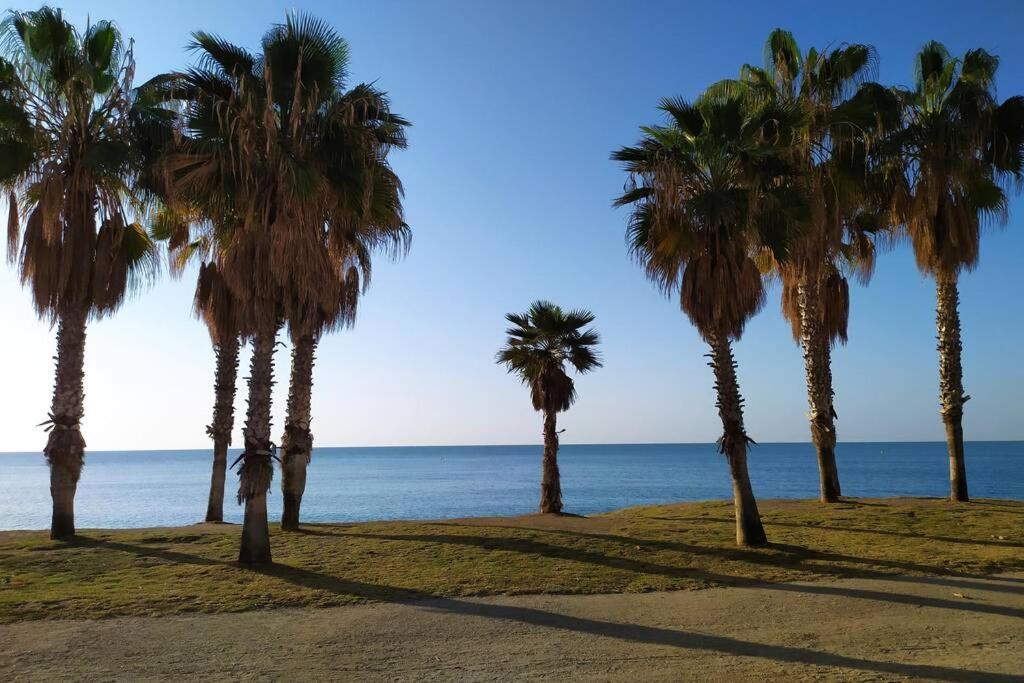 Center Málaga