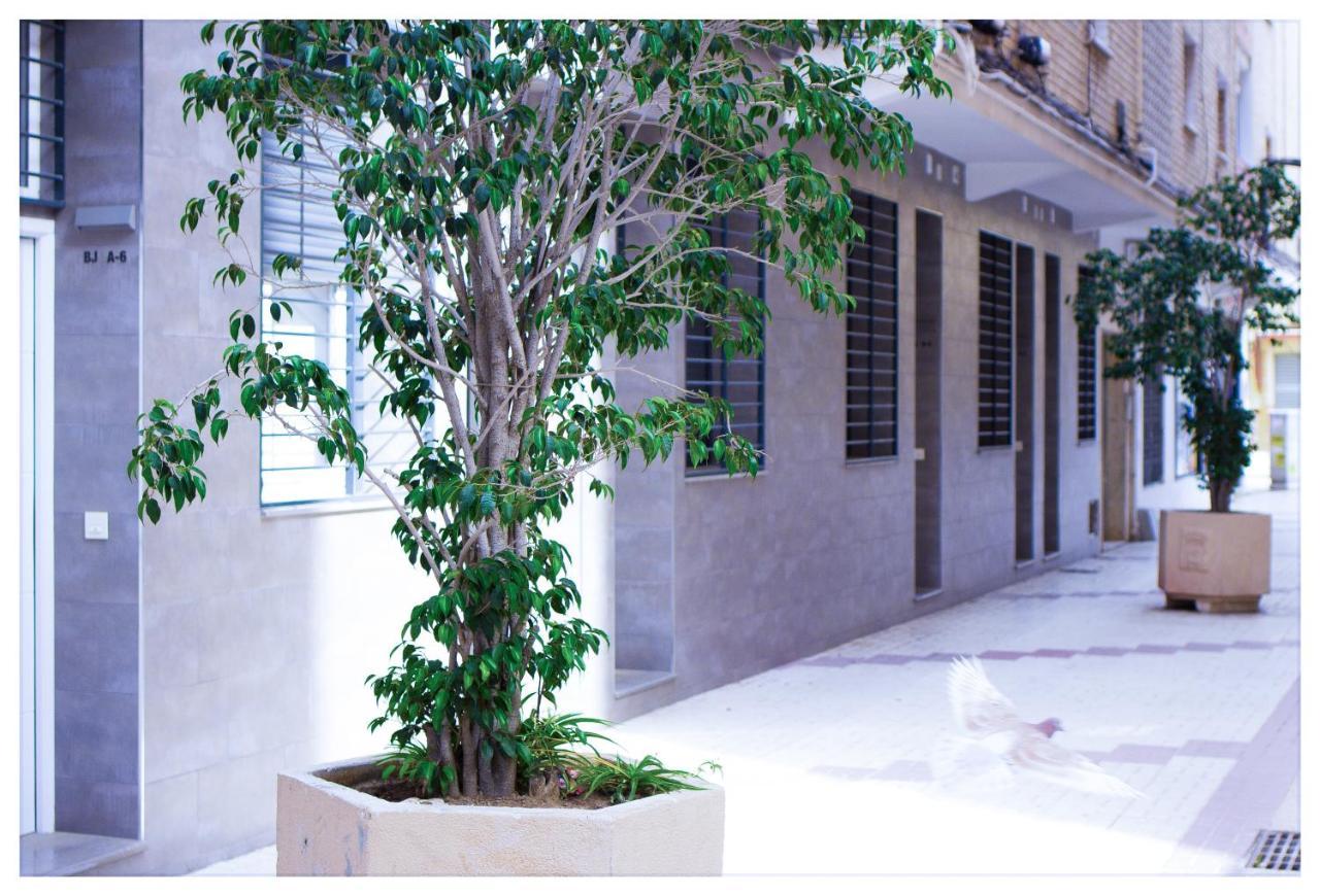 Apartment Estacion-centro Vialia *