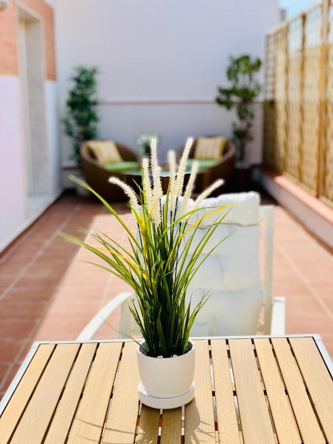 Flores - Atico Duplex Con Terraza - Probeyma - Apartment