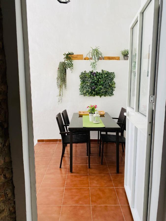 Apartamento Clemens9 Premium