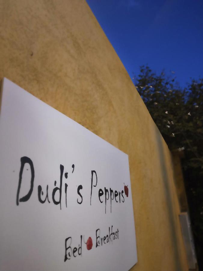 Bed & Breakfast Dudi's Peppers Málaga