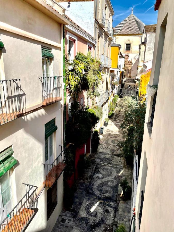 Paloma Solarium Centro Historico Appartement Málaga