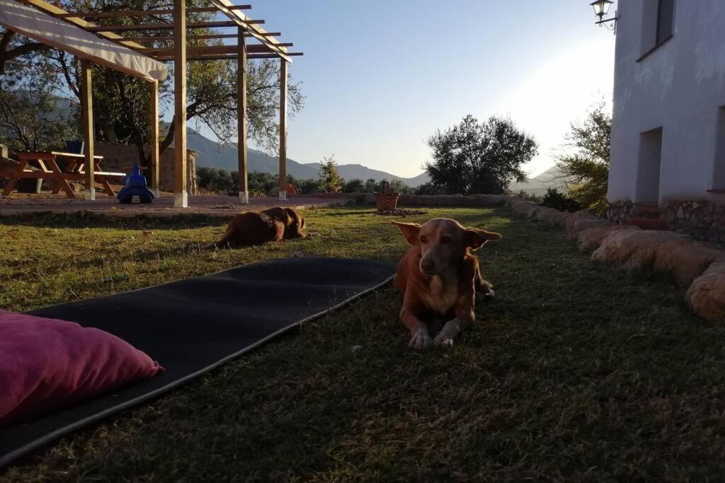 Ferienhaus Cortijo Rural Gumeo