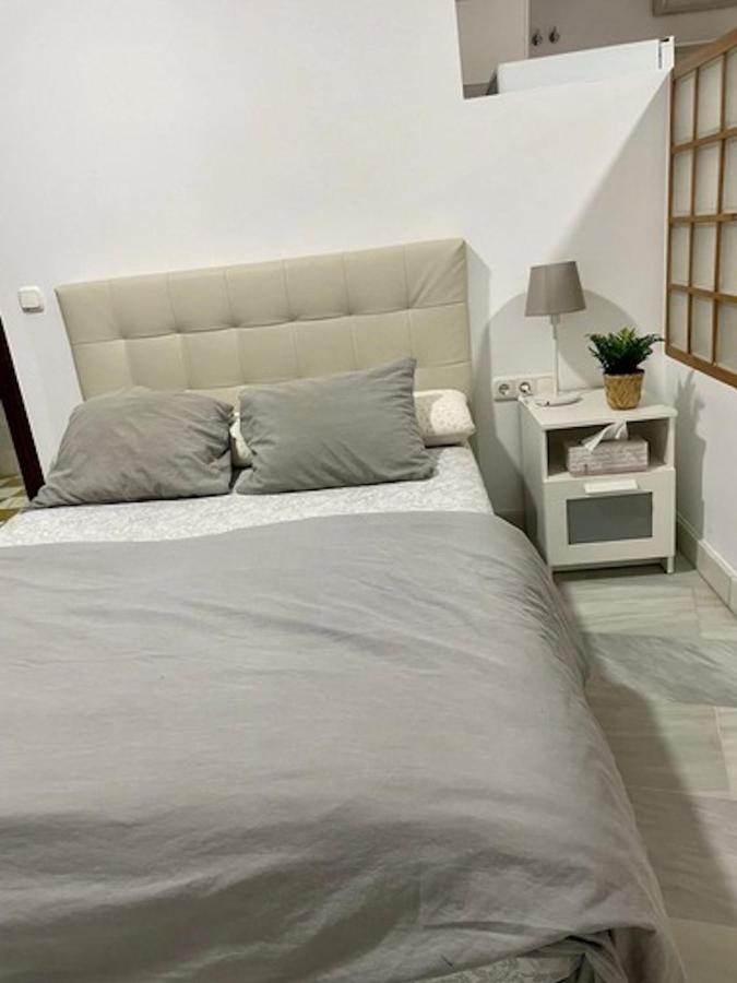 Holidays2malaga Jinetes Junto Casco Historico & Parking Apartamento