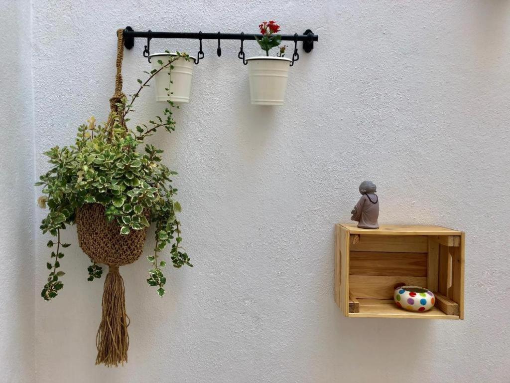 Guantanamera Eco-friendly Roomalaga By Bossh! Apartamento