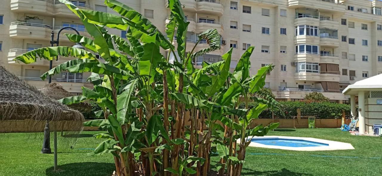 Holidays2Malaga Paseo Maritimo Antonio Banderas Sea View & Terrace * Málaga