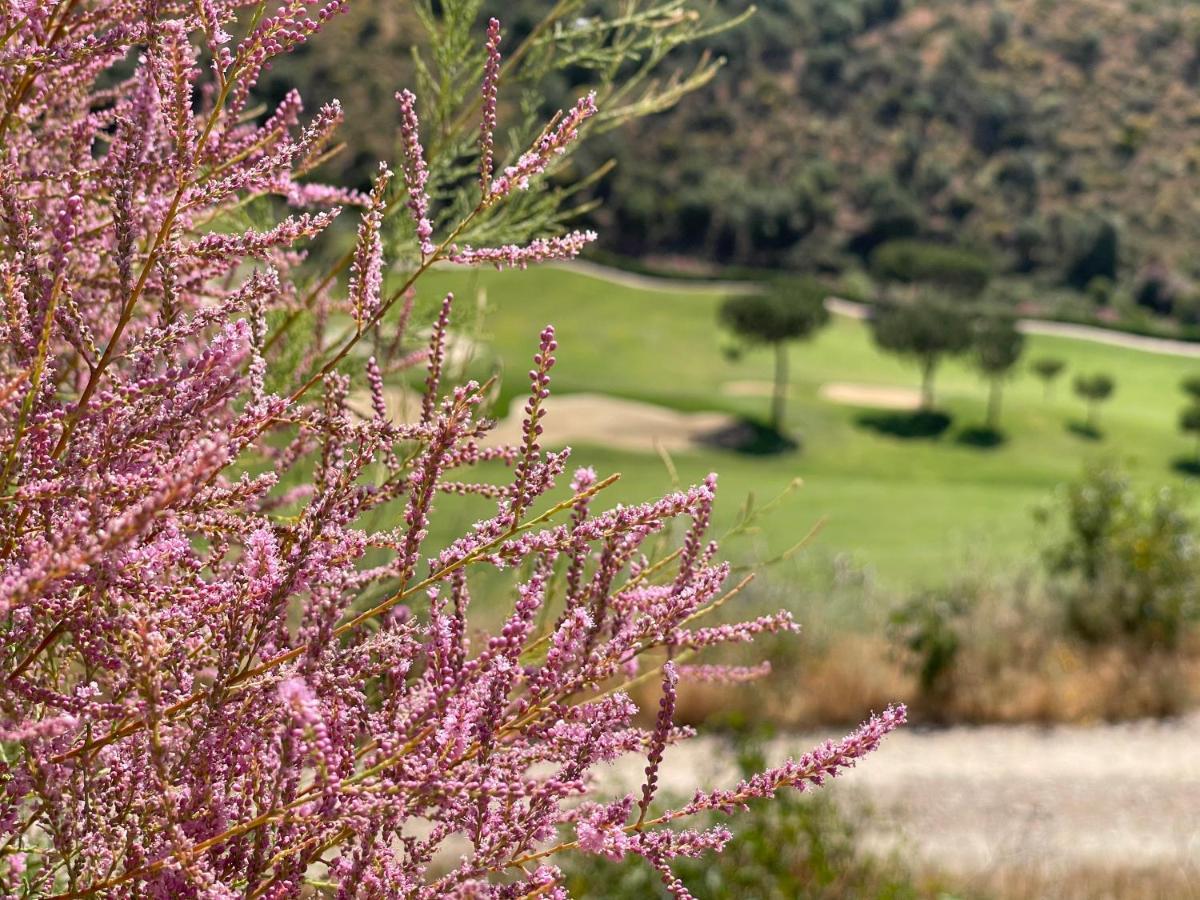Calanova Gran Golf, Cartajima 22 Lägenhet *