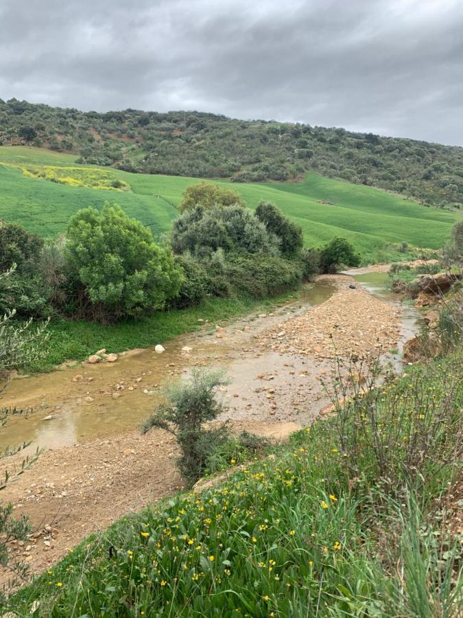 Chalé Cortijo El Alcornocal *