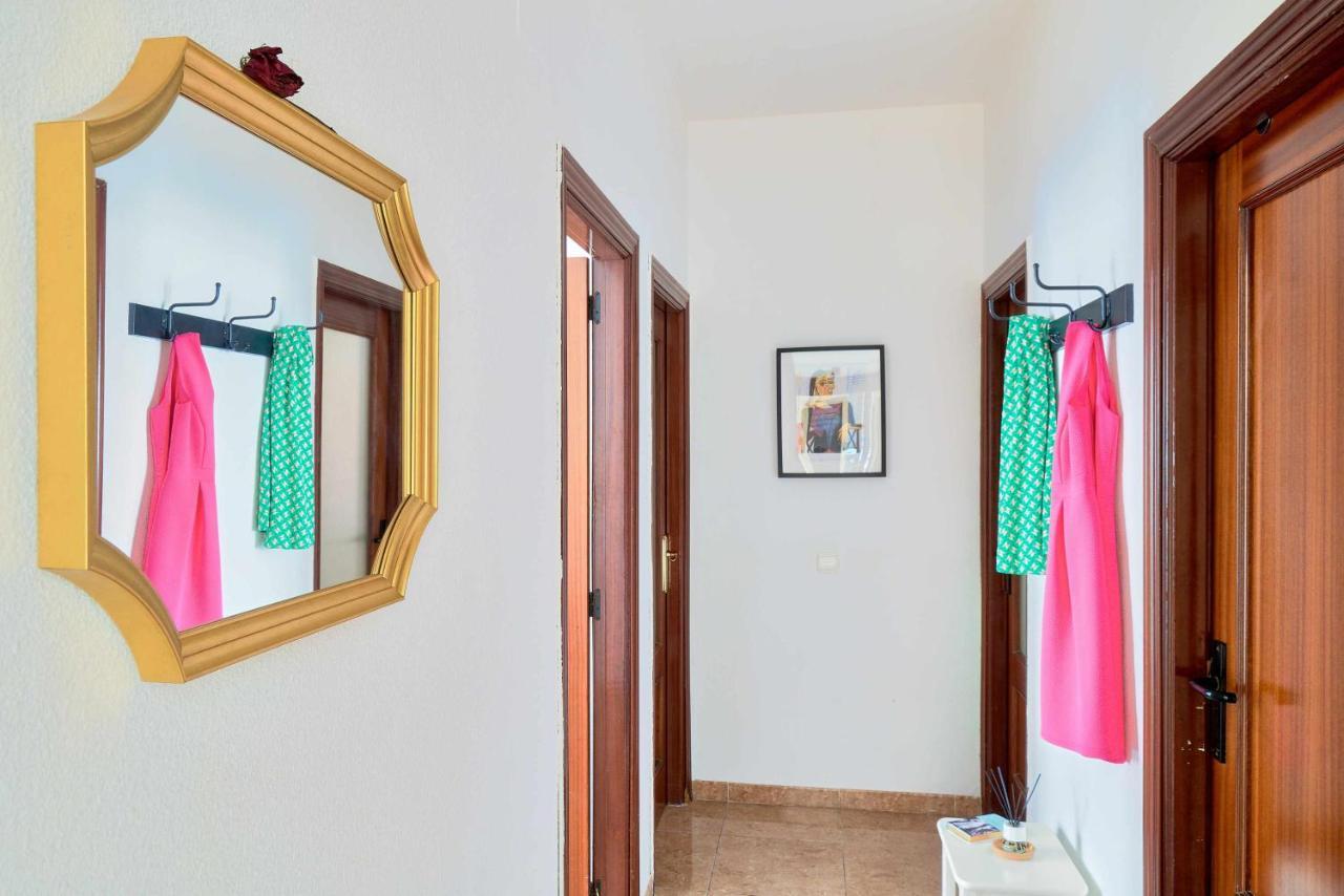 Under The Olive Trees In Historic Center Of Apartment Malaga