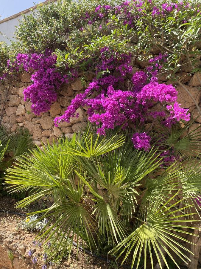 Terraced House In The Mountains With Fantastic View Holiday home Malaga