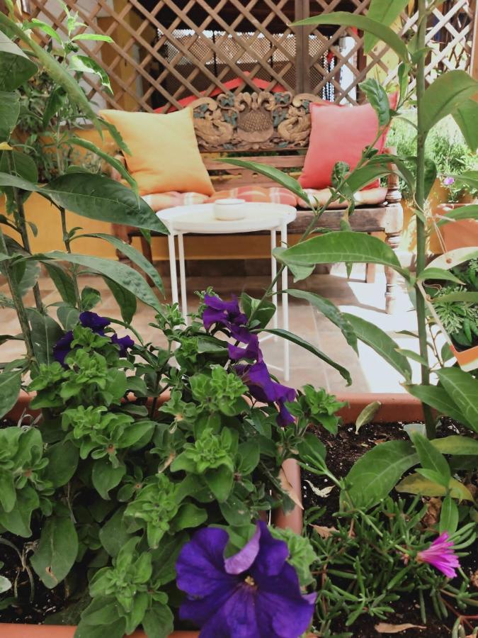 Bed & Breakfast Dudi's Peppers *