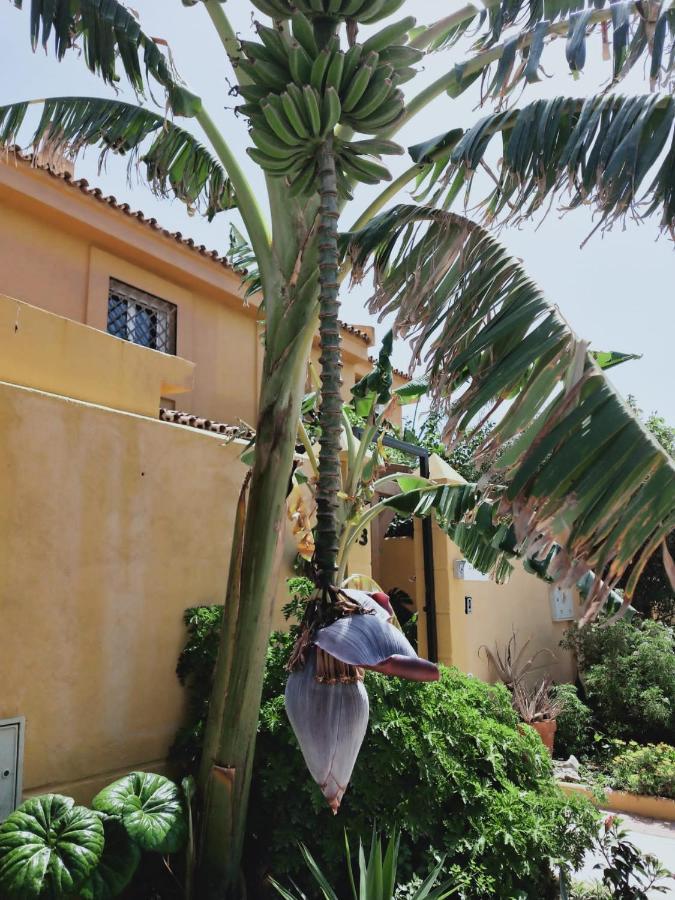 Dudi's Peppers Bed & Breakfast *