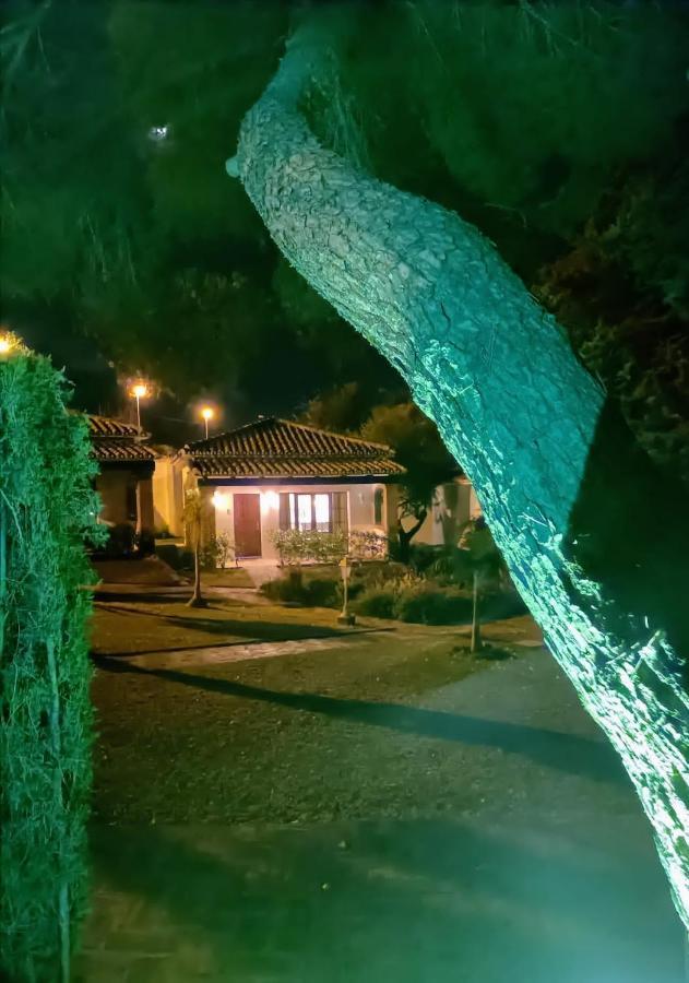 Hytte Tottam Art & Healthy Garden *
