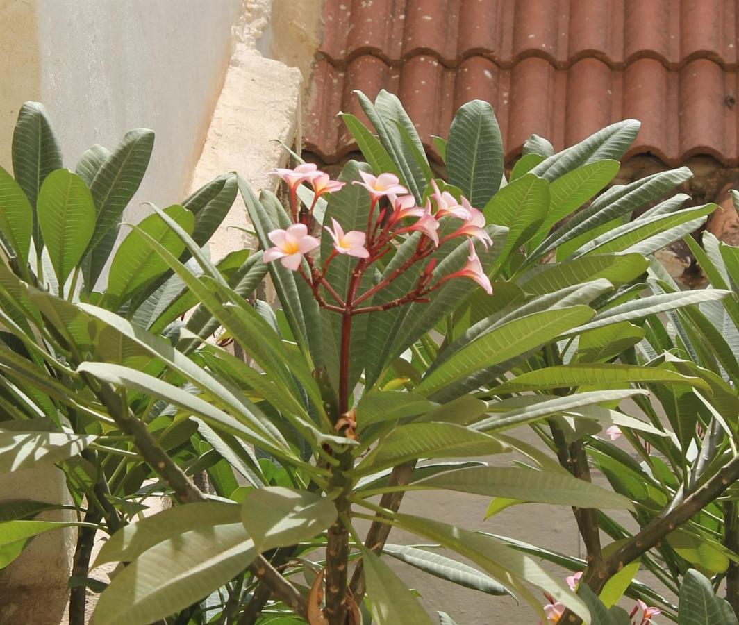 Apartamento Casa La Victoria Málaga