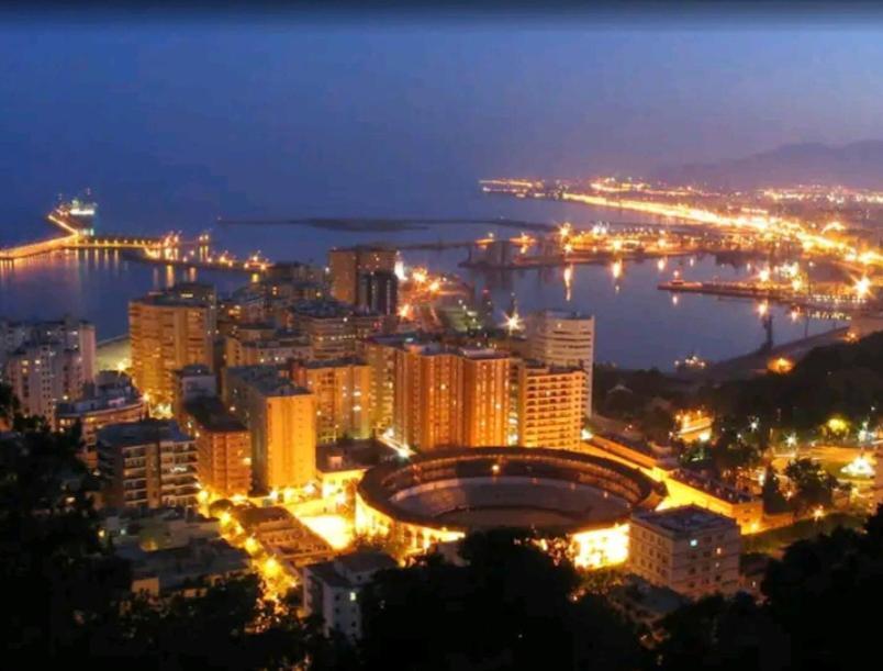 Apartment Premium La Biznaga Malaga
