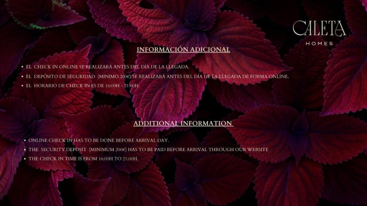 Caleta Homes - Ancha Del Carmen Appartamento *