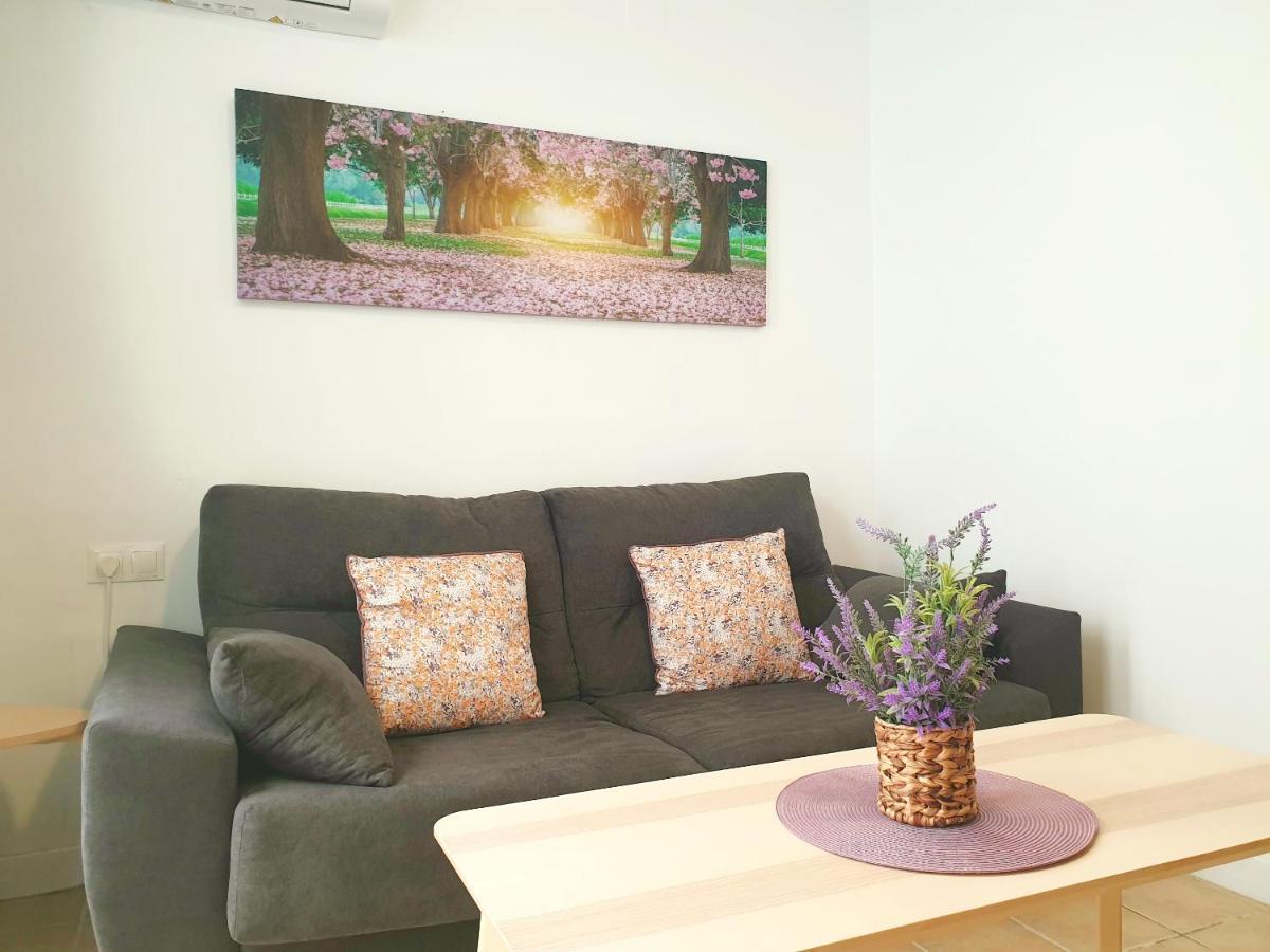 Economical Homes In Center Málaga