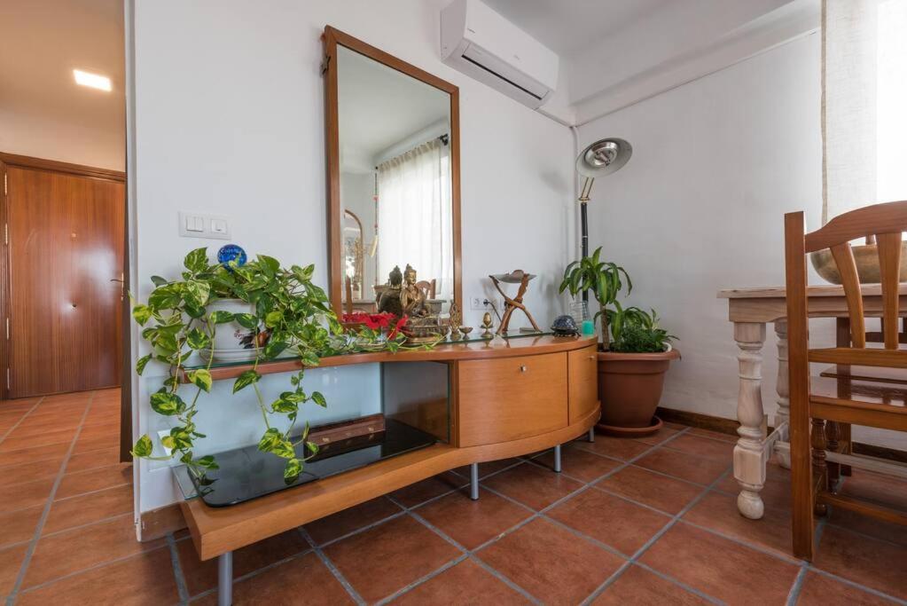 Appartement Penthouse Terrace *