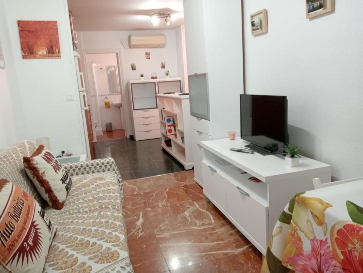 Apartment Apartamento Con Encanto 'larios Studio' *