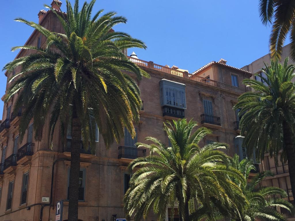 Appartement Life Alameda Colon *