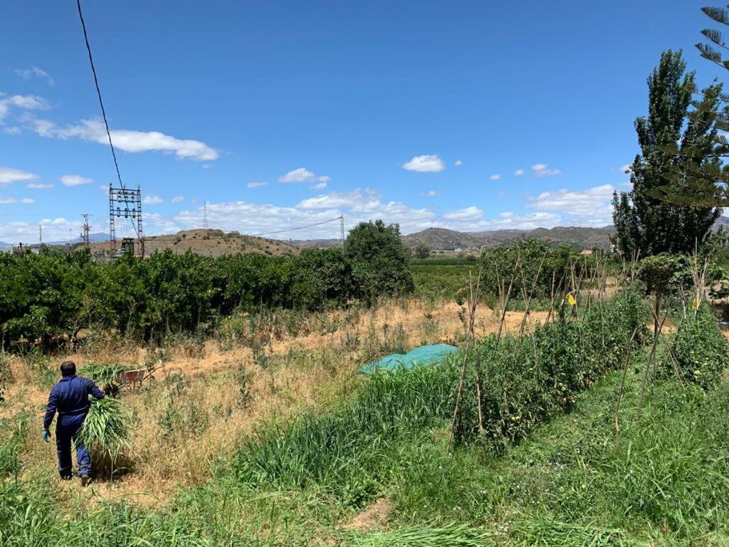 Vakantiehuis Complejo Rural Lo Arrabal Málaga