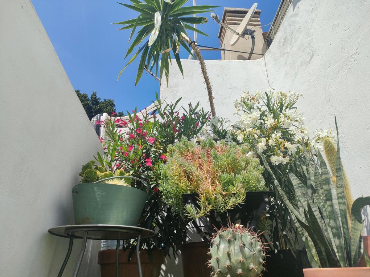 Historic Center Private Terrace * Malaga
