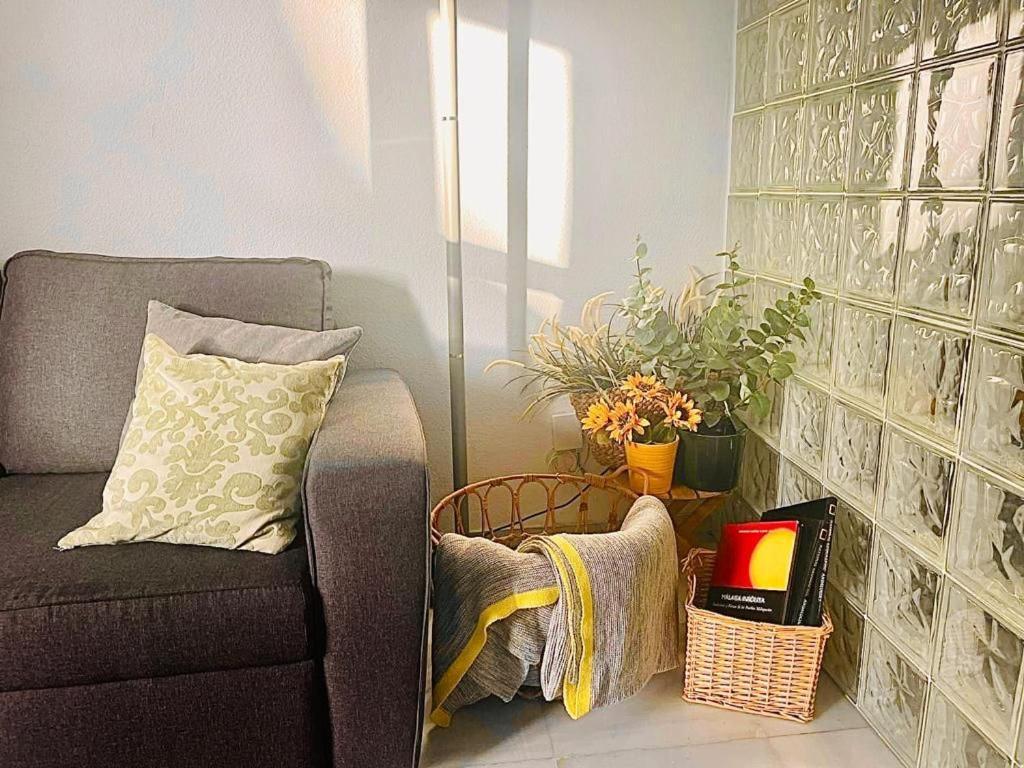 Greenhouse, Casco Historico De Apartment *