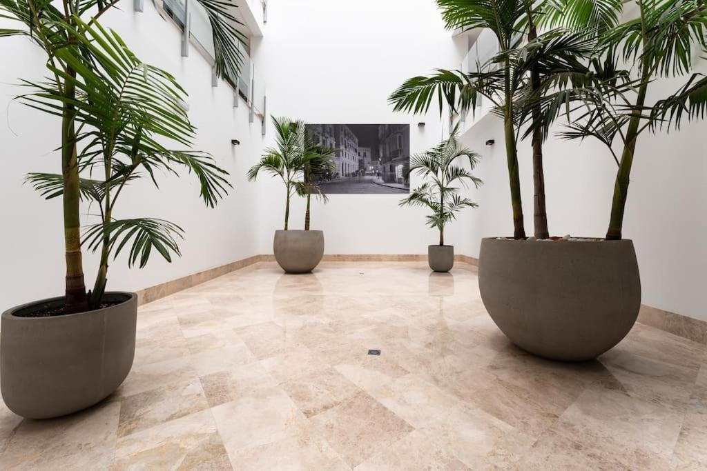 Premium Flat In Center With Free Parking Appartement