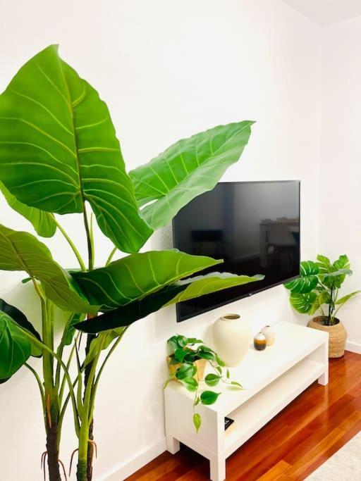 New Elegant In The Heart Of Apartment Málaga