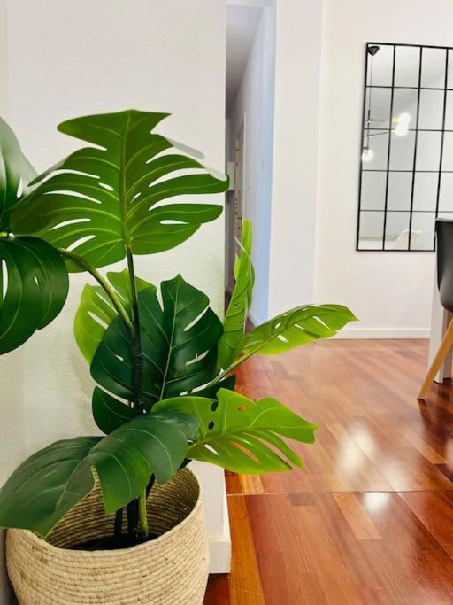 New Elegant In The Heart Of Apartment Málaga